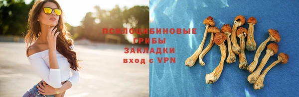 не бодяженный Белокуриха