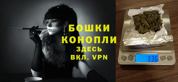сатива Беломорск