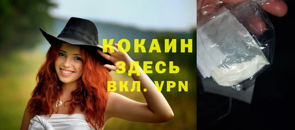 сатива Беломорск