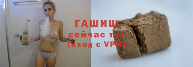 сатива Беломорск