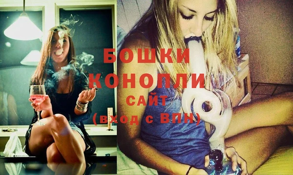 сатива Беломорск