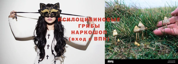 хмурый Белоозёрский