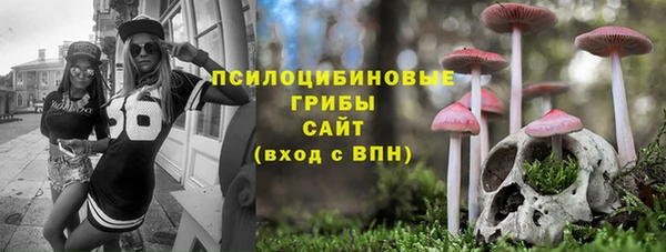 сатива Беломорск