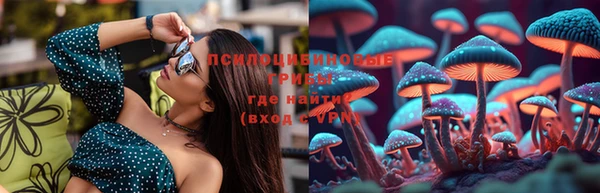 сатива Беломорск