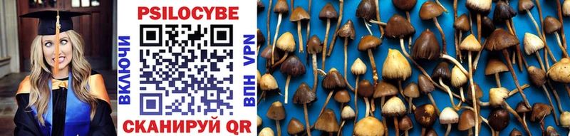 Псилоцибиновые грибы Psilocybine cubensis  дарнет шоп  blacksprut как войти  Емва 